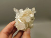 Lemurian Quartz Cluster Clear Natural Crystal Points 3.4 inch Columbia #O8