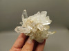 Lemurian Quartz Cluster Clear Natural Crystal Points 3.4 inch Columbia #O8