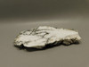 Howlite Polished Stone Slab Decorator Rock Tick Canyon California #O1
