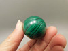 Malachite Stone Egg 1.7 inch Gemstone African Green Rock #O7