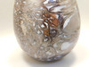 Petrified Wood Egg Rare Palaeosmunda Fossil Large 4.25 inch #O1