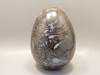 Petrified Wood Egg Rare Palaeosmunda Fossil Large 4.25 inch #O1