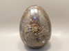 Petrified Wood Egg Rare Palaeosmunda Fossil Large 4.25 inch #O1