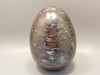 Petrified Wood Egg Rare Palaeosmunda Fossil Large 4.25 inch #O1
