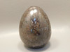 Petrified Wood Egg Rare Paleosmunda Fossil 3 inch Decorator #O2