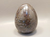 Petrified Wood Egg Rare Paleosmunda Fossil 3 inch Decorator #O2