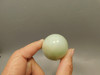Serpentine Stone Egg 2 inch Yellow Green Rock New Jade #O8