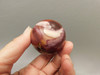 Mookaite Jasper Egg Carving 2.3 inch Polished Rock Australia #O1