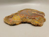 Laguna Agate Polished Stone Slab Red Collector Rock #O100