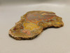 Laguna Agate Polished Stone Slab Red Collector Rock #O100