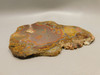 Laguna Agate Polished Stone Slab Red Collector Rock #O100