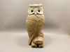 Owl Figurine Petrified Wood Gemstone Animal Carving #O513
