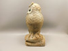 Owl Figurine Petrified Wood Gemstone Animal Carving #O513