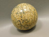 Leopard Skin Jasper Sphere Stone 2 inch Natural Rock #O5