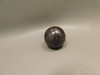 Petrified Wood Small Sphere Marble 30 mm Rare Paleosmunda Fossil #O10