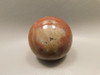 Petrified Wood Sphere Stone 2 inch Mineral Ball Madagascar #OM6
