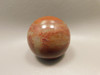 Petrified Wood Sphere Stone 2 inch Mineral Ball Madagascar #OM6