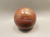 Petrified Wood Sphere Stone 2 inch Mineral Ball Madagascar #OM6