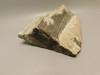 Petrified Wood Woodworthia Polished Piece Arizona #O100