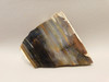 Petrified Wood Polished Stone Rock Conifer Oregon #O3