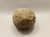 Almandine Garnet Natural Crystal Rough Rock Mineral Specimen  #01