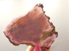 Burro Creek Jasper Stone Slab Unpolished Rock Arizona #O1