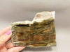 Arizona Pietersite Polished Stone Slab Chatoyant Tiger Eye #O6