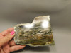 Arizona Pietersite Polished Stone Slab Chatoyant Tiger Eye #O6