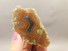 Laguna Agate Polished Stone Nodule Collector Banded Red Rock #O24
