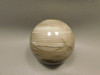 Petrified Sequoia Wood 2.75 inch Stone Sphere Fossilized USA #O2