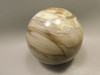 Petrified Sequoia Wood 2.75 inch Stone Sphere Fossilized USA #O2