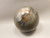 Petrified Wood Sphere Stone 3 inch Fossilized Ball 75 mm Arizona #OA2