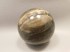 Petrified Wood Sphere Stone 3 inch Fossilized Ball 75 mm Arizona #OA2