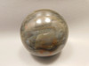 Petrified Wood Sphere Stone 3 inch Fossilized Ball 75 mm Arizona #OA2