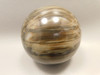 Petrified Wood Sphere Stone 3 inch Fossilized Ball 75 mm Arizona #OA2
