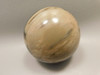 Petrified Wood Sphere Stone 2.75 inch Fossilized Ball 75 mm Arizona #OA1