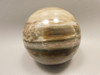 Petrified Wood Sphere Stone 2.75 inch Fossilized Ball 75 mm Arizona #OA1