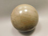 Petrified Wood Sphere Stone 2.75 inch Fossilized Ball 75 mm Arizona #OA1