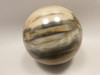Petrified Wood Sphere Stone 2.75 inch Fossilized Ball 75 mm Arizona #OA1