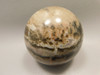 Petrified Wood Sphere Stone 2.75 inch Fossilized Ball 75 mm Arizona #OA1