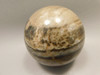 Petrified Wood Sphere Stone 2.75 inch Fossilized Ball 75 mm Arizona #OA1