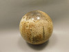 Petrified Palm Wood Sphere 3.15 inch Fossil Indonesia #O20