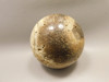 Petrified Palm Wood Sphere 3.15 inch Fossil Indonesia #O20