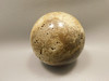 Petrified Palm Wood Sphere 3.15 inch Fossil Indonesia #O20