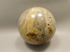 Petrified Palm Wood Sphere 3.15 inch Fossil Indonesia #O21