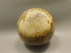 Petrified Palm Wood Sphere 3.15 inch Fossil Indonesia #O21