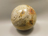 Petrified Palm Wood Sphere 3.15 inch Fossil Indonesia #O21