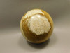 Petrified Palm Wood Root Ball 2.75 inch Sphere Fossil Indonesia #O22