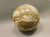 Petrified Palm Wood 2.75 inch Sphere Fossil Indonesia #O23