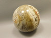 Petrified Palm Wood 2.75 inch Sphere Fossil Indonesia #O23